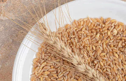 Whole grains in a bowl, a plant source of arabinose