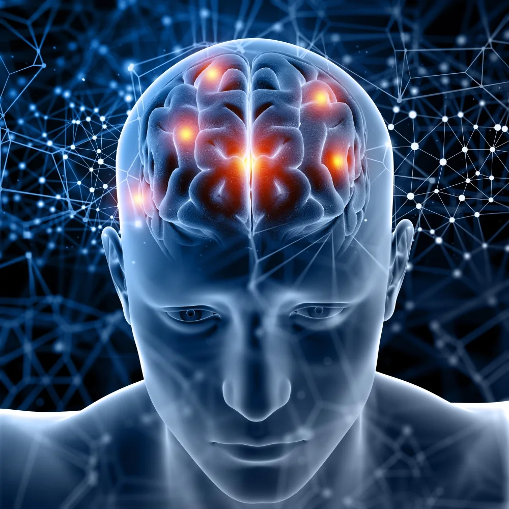 Illustration of an active, connected brain representing memory and focus support